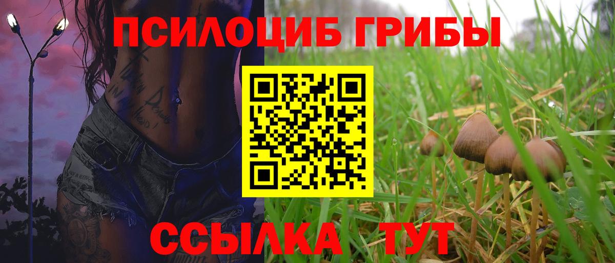 Туапсе  Галлюциногенные грибы Psilocybine cubensis  Вход с VPN  Псилоцибиновые грибы Psilocybe 